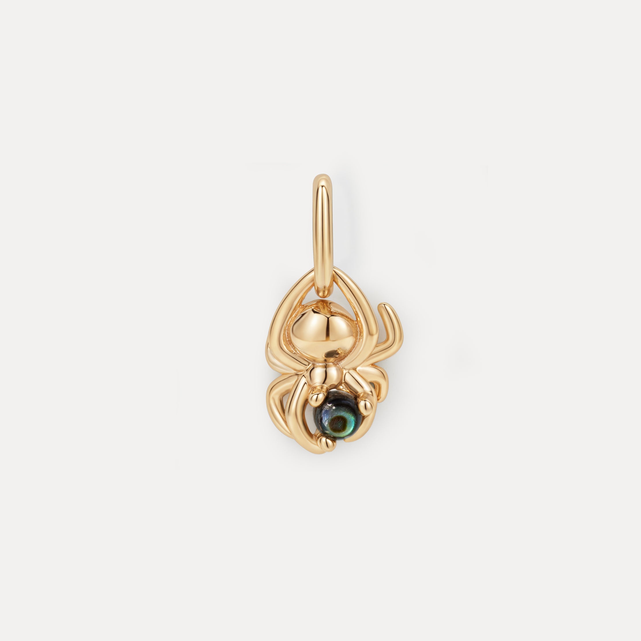 Spider's Treasure Charm – GLDN
