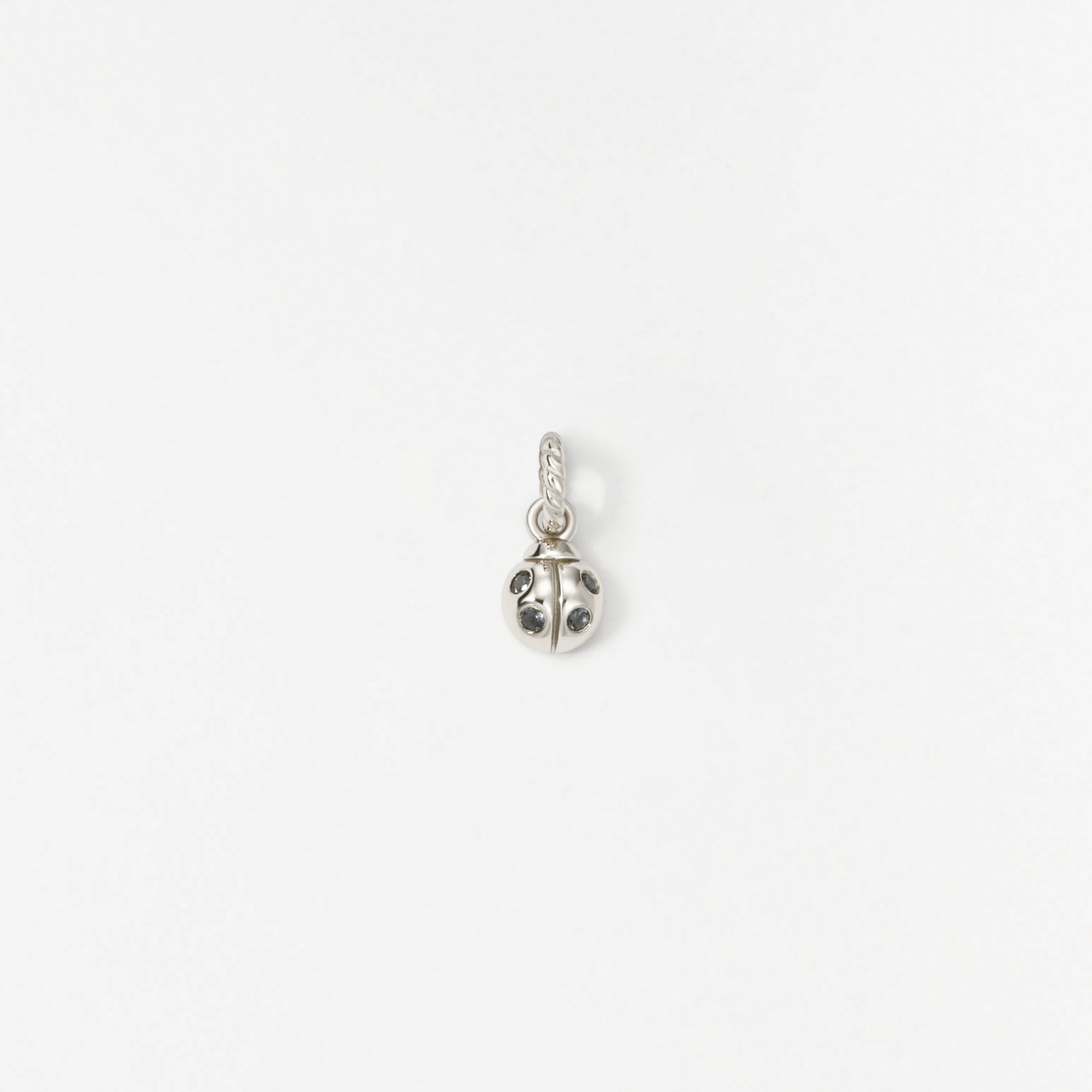 Ladybug Charm
