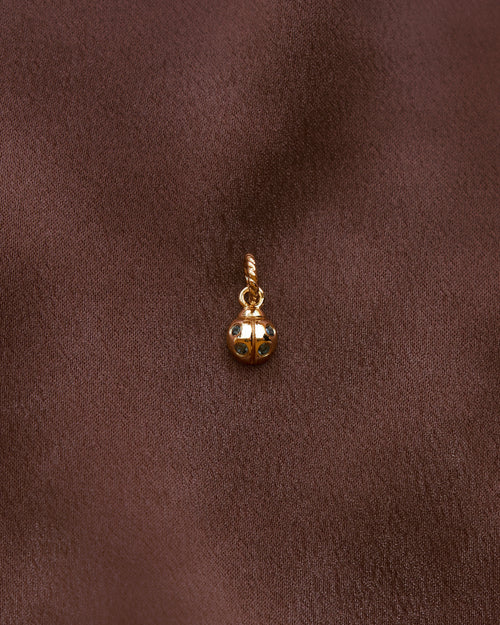 Ladybug Charm