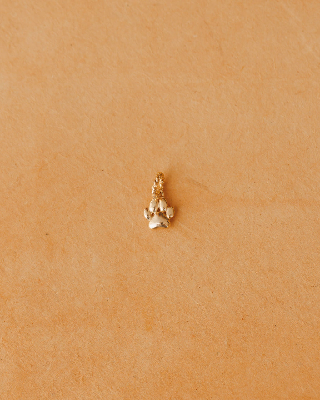 Puppy Paw Charm