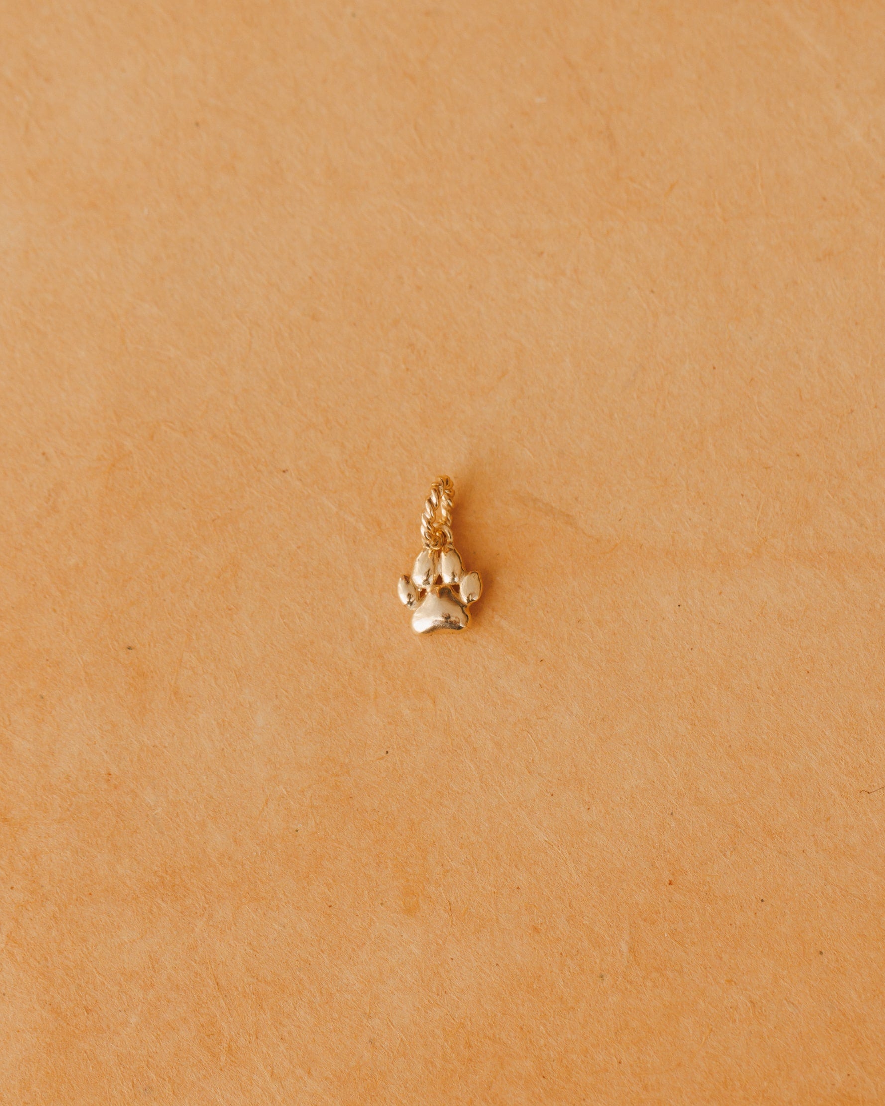 Puppy Paw Charm