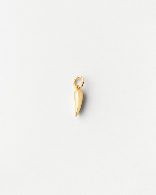 Chili Pepper Charm