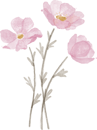 Cosmos