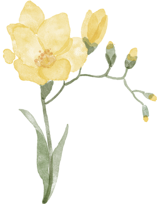 Freesia
