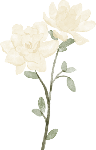 Gardenia