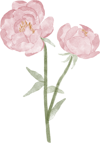 Peony