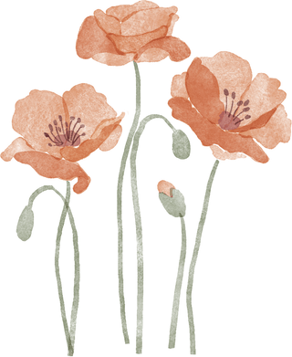 Poppy