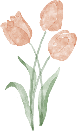 Tulip