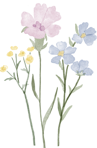 Wildflowers