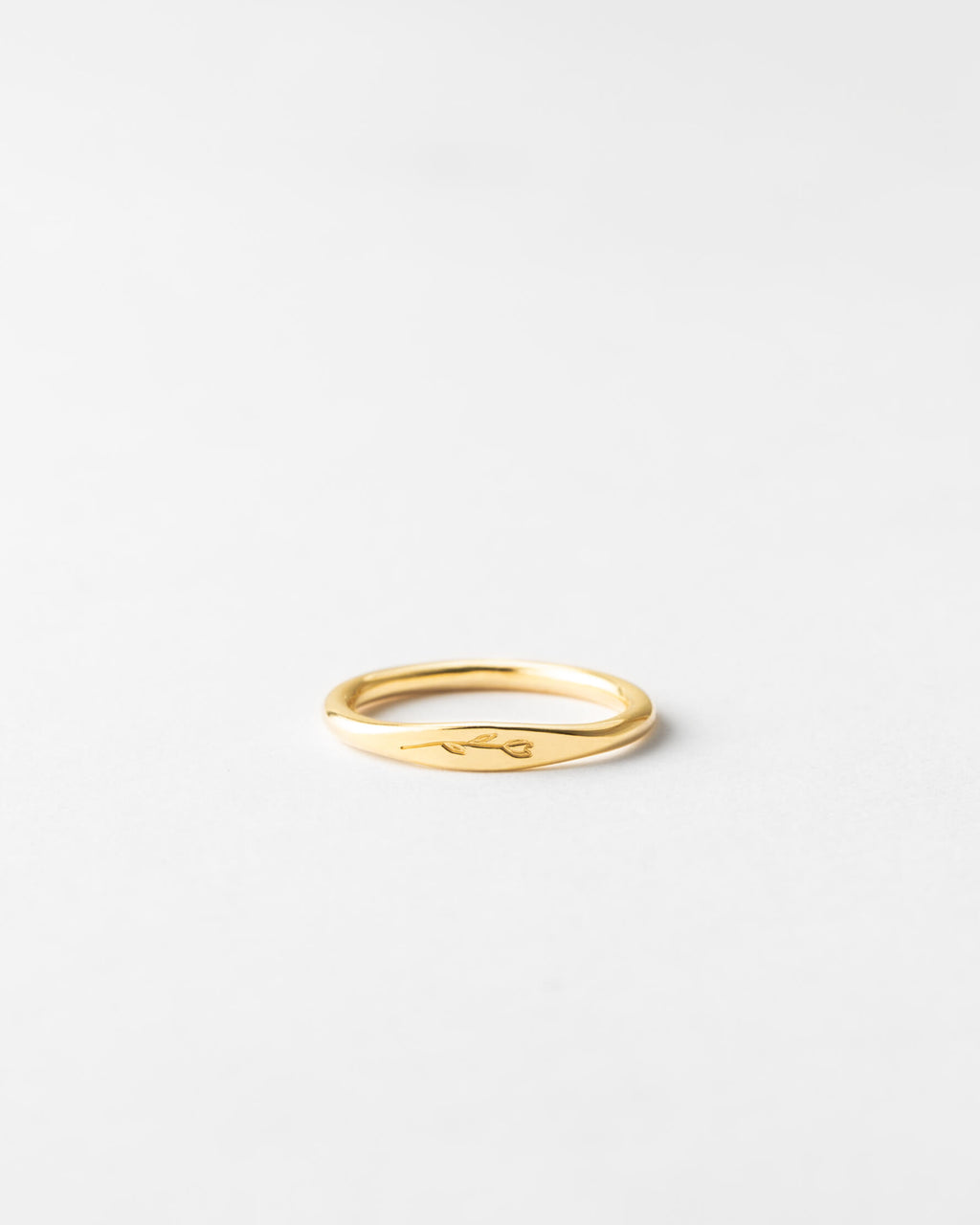 plp_main; Material: 14k Gold Fill, 14k Solid Gold