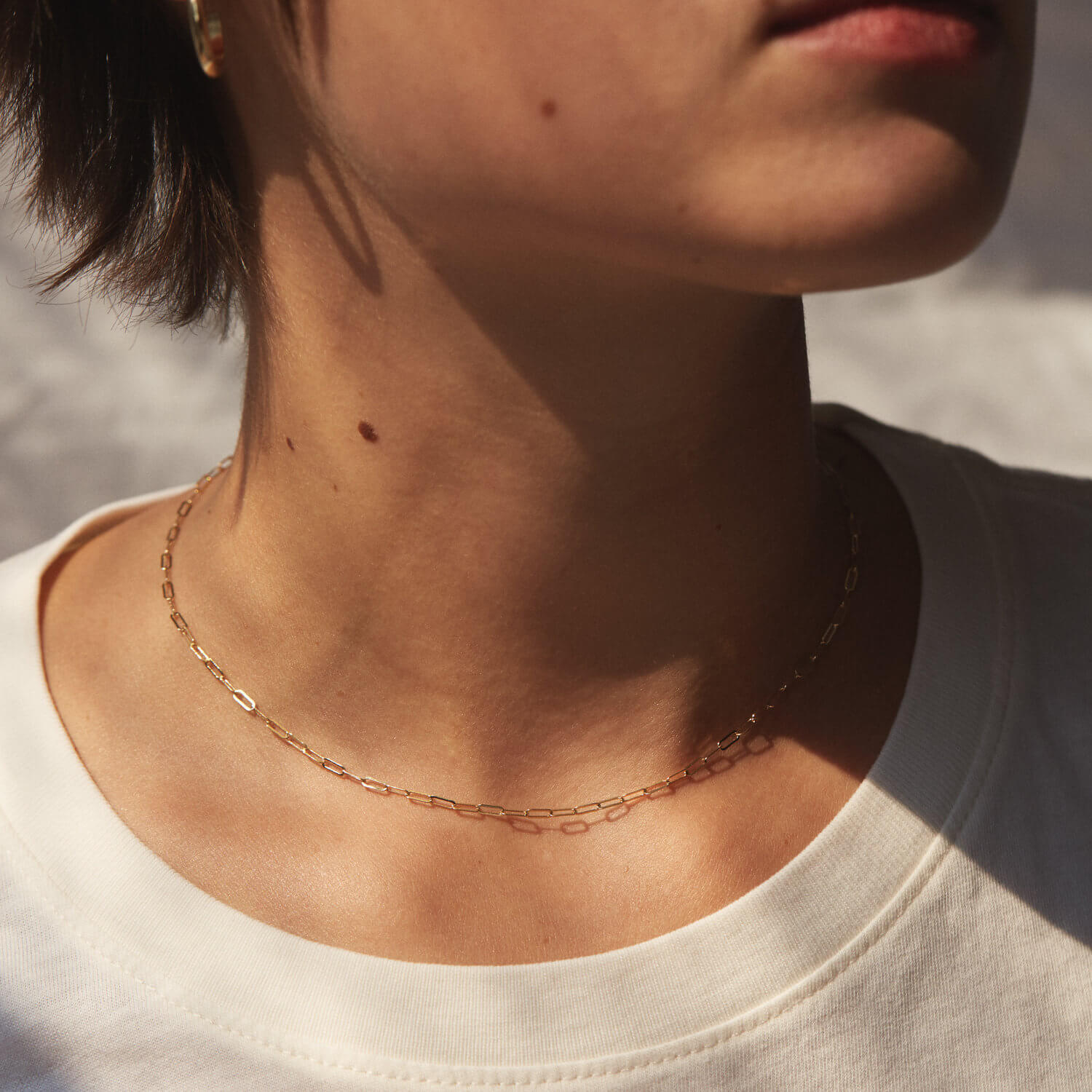 Paperclip Necklace 14k Gold Fill – Common Deer