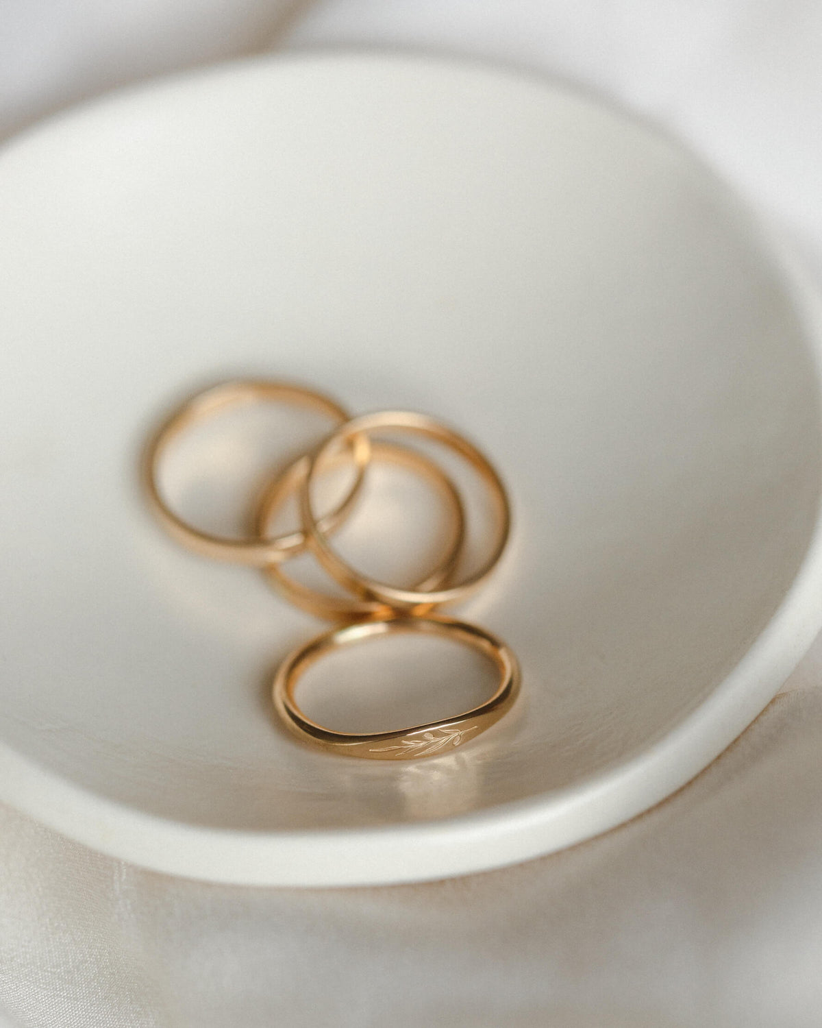 Olive Branch Signet – GLDN