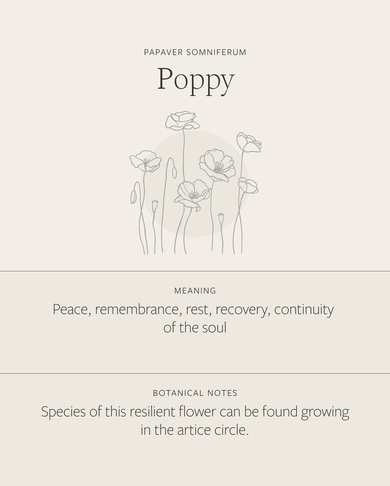 Poppy Necklace — GLDN