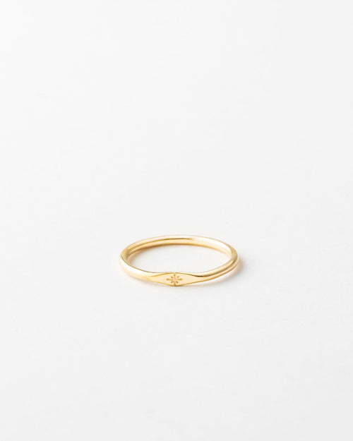 Stellar Signet - 14k Solid Gold